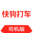 光棍电影完整版免费观看2024年上映的中文版